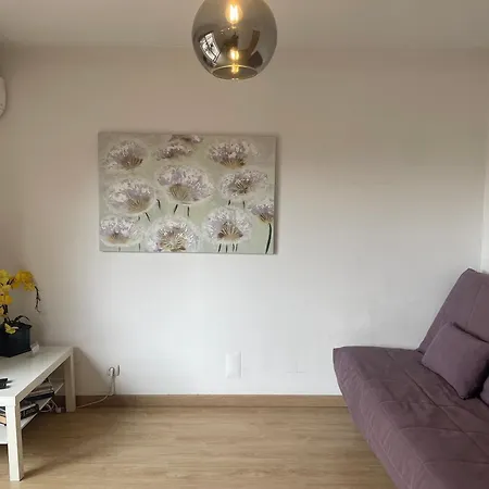 Pretty Flat With Terrace, Air Cond, Free Parking, By With Lda Apartament